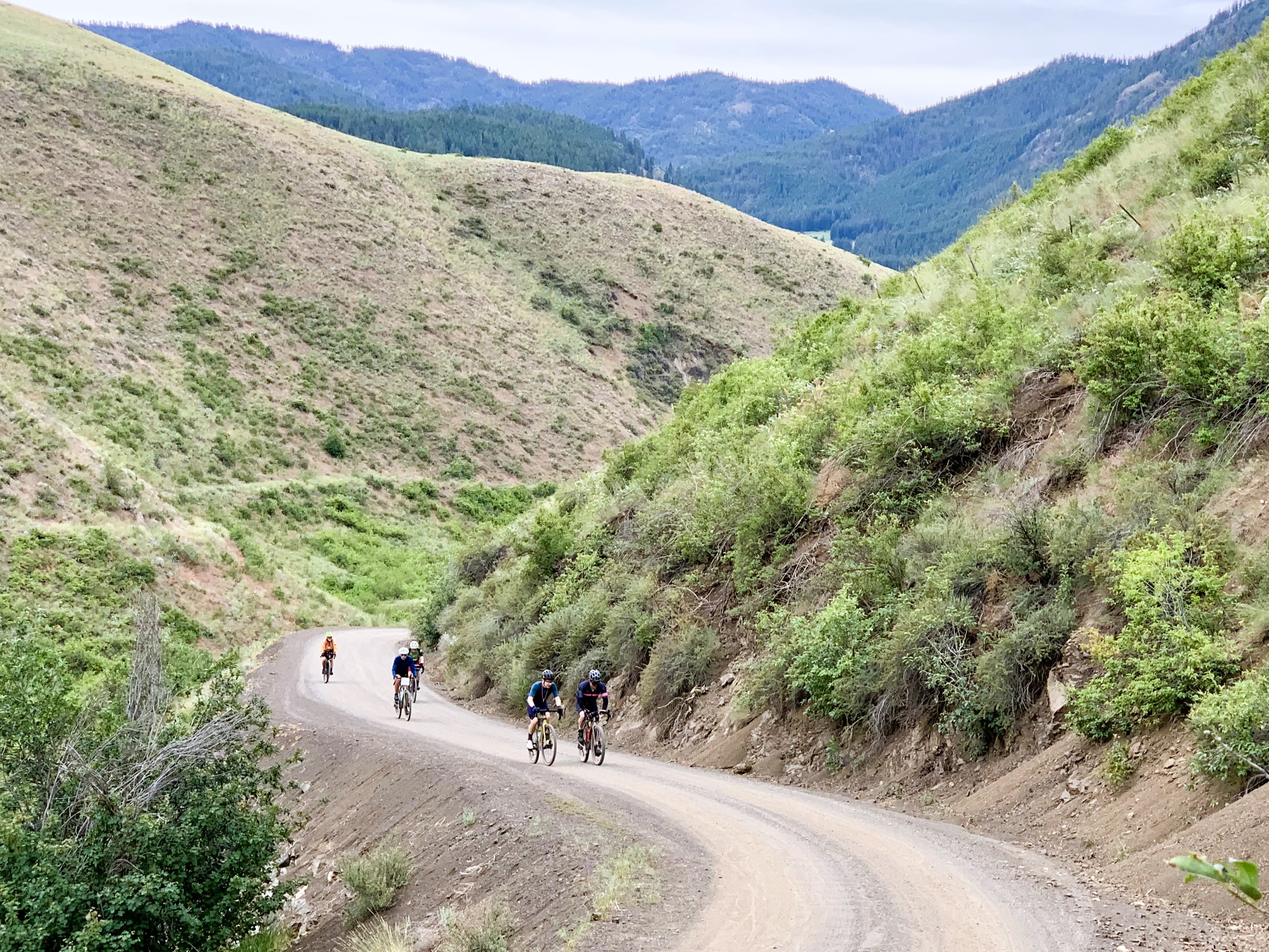 The road less traveled is the best one